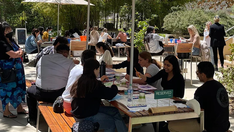 A wide shot of the Sunshine and Color event