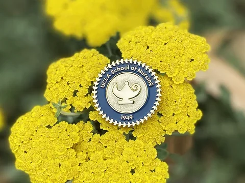 The UCLA School of Nursing pin