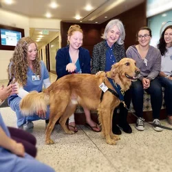 UCLANursing_TherapyDog