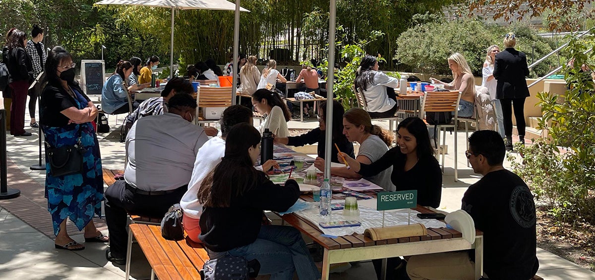 A wide shot of the Sunshine and Color event