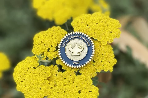 The UCLA Nursing pin